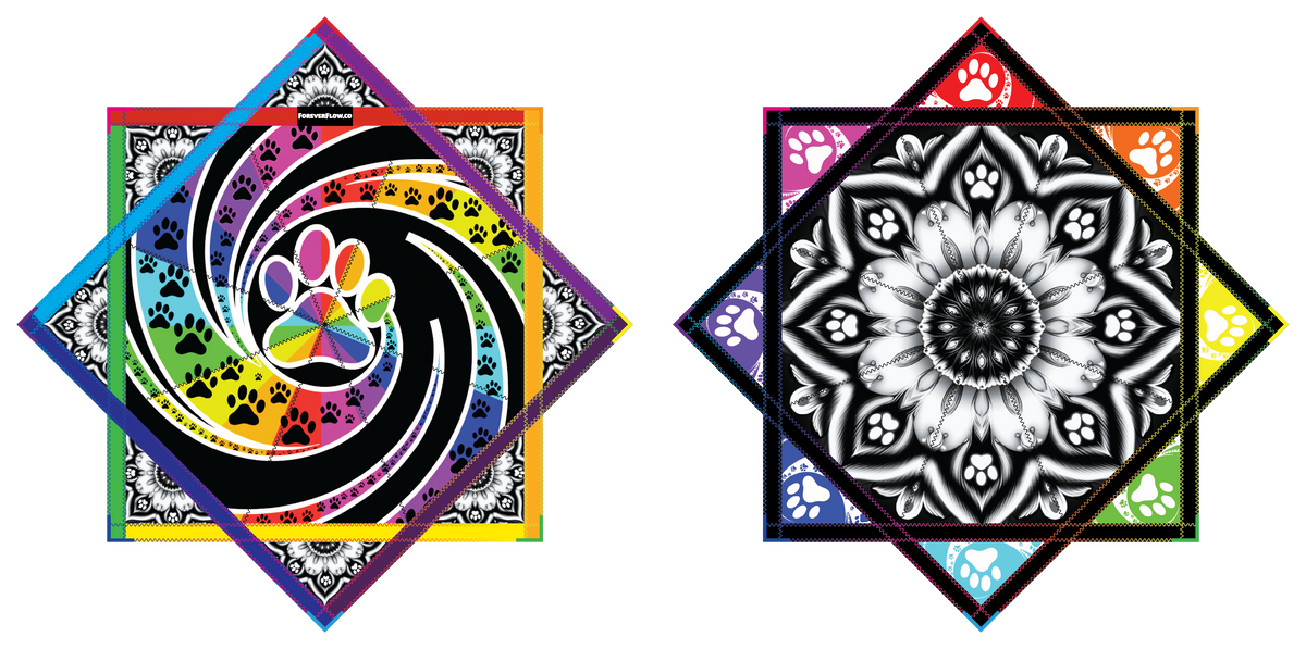 Flow Paws 2.0 By Alyssa (Ren) – Forever FlowStar 26" (Pre-Order)