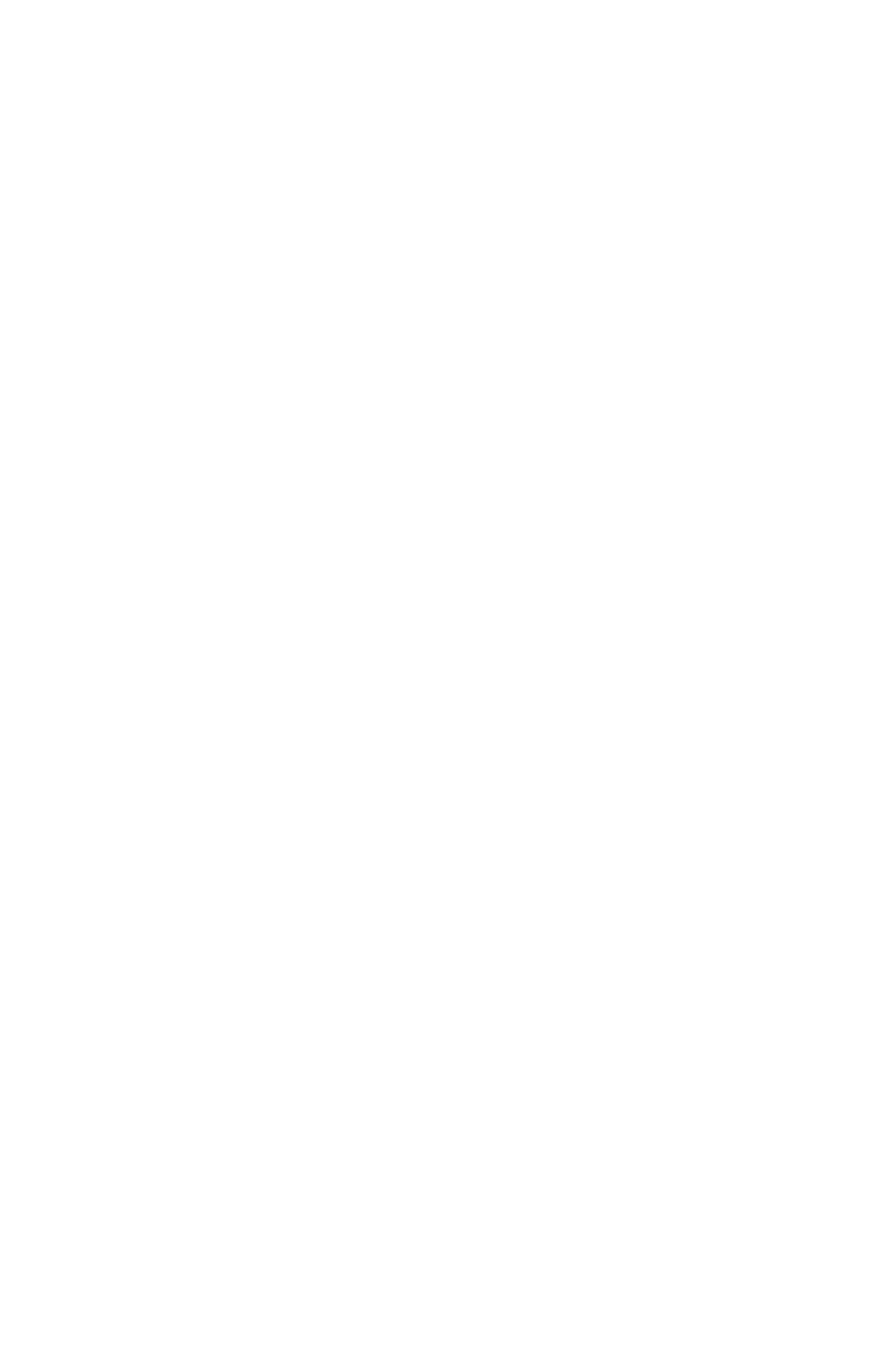 Void Bloom – Jumbo 48" FlowStar (Ships by Aug 1)
