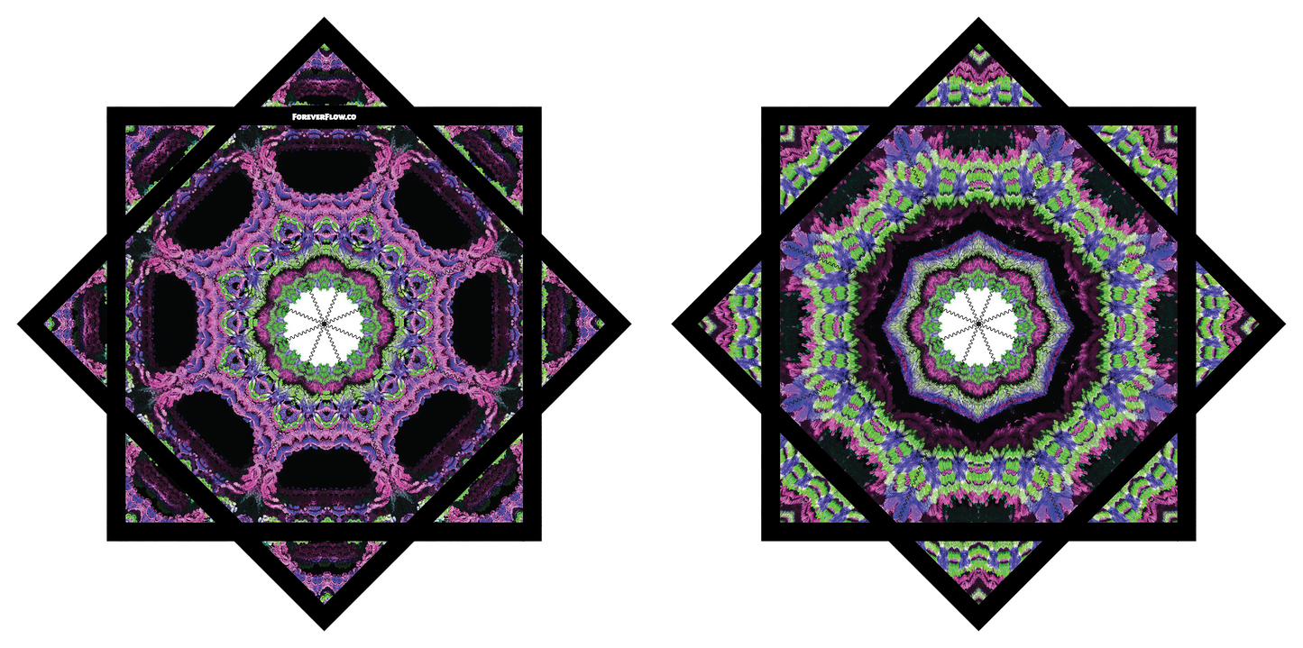 "Venom Bloom" Artwork by Kris Arakelov – Forever FlowStar 26" (Pre-Sale)