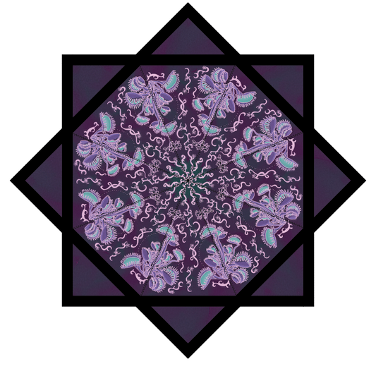 PRE SALE- Fly Trap Artwork By Noah Lee – Forever FlowStar 26"