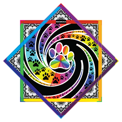 Flow Paws 2.0 By Alyssa (Ren) – Forever FlowStar 26" (Pre-Order)