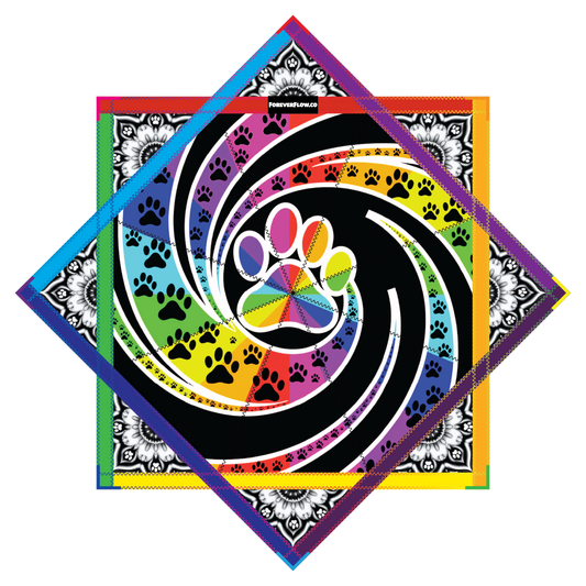 Flow Paws 2.0 By Alyssa (Ren) – Forever FlowStar 26" (Pre-Order)