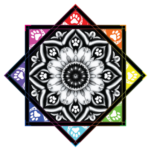 Flow Paws 2.0 By Alyssa (Ren) – Forever FlowStar 26" (Pre-Order)