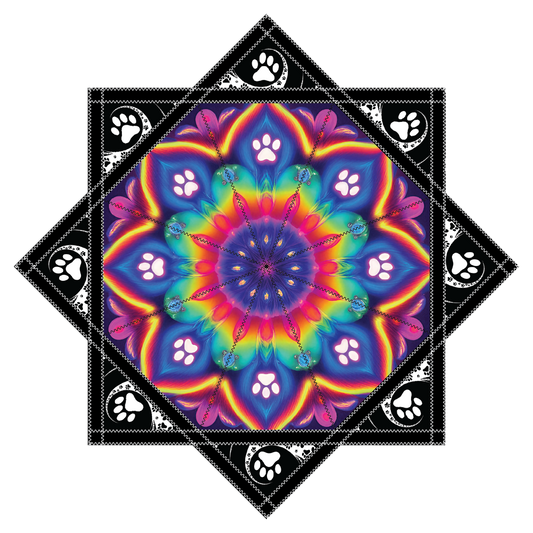 PRE SALE- Flow Paws Artwork by Alyssa (aka Ren) – Forever FlowStar 26"