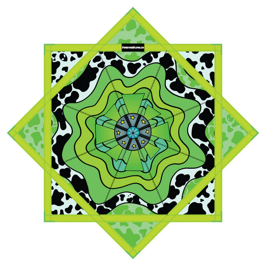 " Unidentified Flowing Object" by Amelia Barreiro – Forever FlowStar 26" (Pre-Sale)