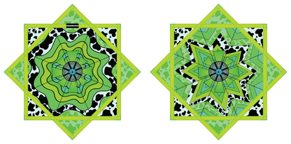 " Unidentified Flowing Object" by Amelia Barreiro – Forever FlowStar 26" (Pre-Sale)