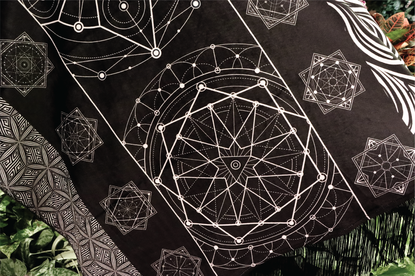 Black and White FlowStar Pashmina