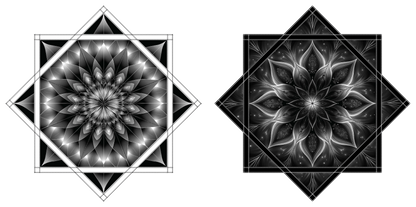 Black Hole – Forever FlowStar 26" (Ships By Nov 10th)