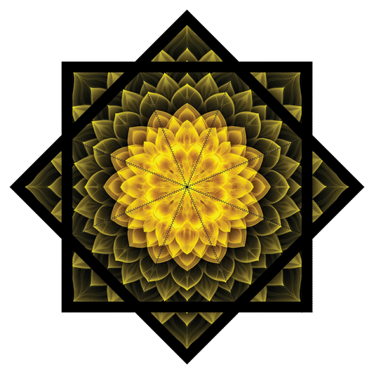 Bloom Switch – Forever FlowStar 26" (Ships By Nov 10th)
