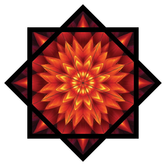 Bloom Switch – Forever FlowStar 26" (Ships By Nov 10th)
