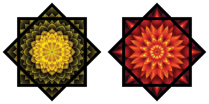 Bloom Switch – Forever FlowStar 26" (Ships By Nov 10th)