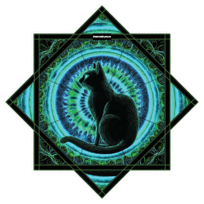 Cat Wonder – JUMBO, GlowStar, Forever FlowStar OPEN PRESALE (Ships by Oct. 10th)