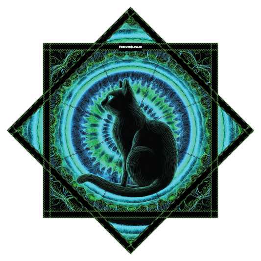 Cat Wonder – JUMBO, GlowStar, Forever FlowStar OPEN PRESALE (Ships by Oct. 10th)