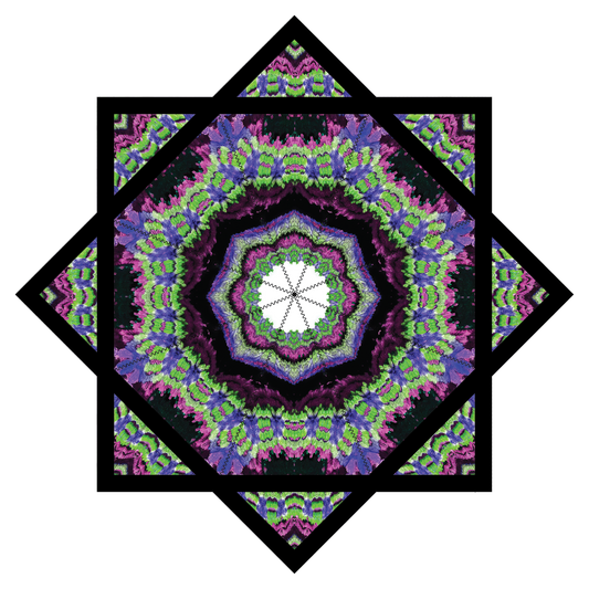 "Venom Bloom" Artwork by Kris Arakelov – Forever FlowStar 26" (Pre-Sale)