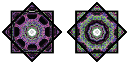 "Venom Bloom" Artwork by Kris Arakelov – Forever FlowStar 26" (Pre-Sale)