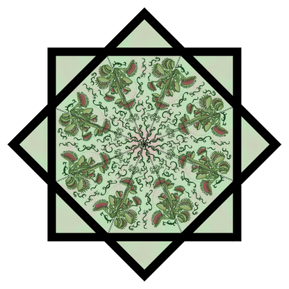 PRE SALE- Fly Trap Artwork By Noah Lee  – Forever FlowStar 26"