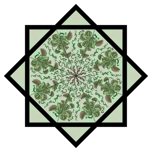 PRE SALE- Fly Trap Artwork By Noah Lee  – Forever FlowStar 26"