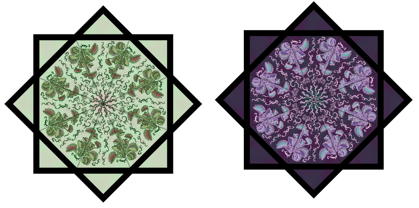 PRE SALE- Fly Trap Artwork By Noah Lee  – Forever FlowStar 26"