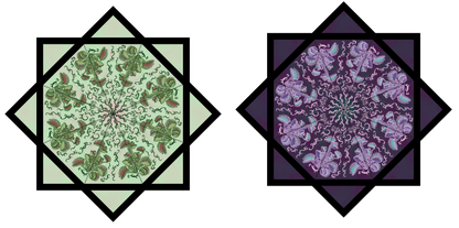 PRE SALE- Fly Trap Artwork By Noah Lee  – Forever FlowStar 26"